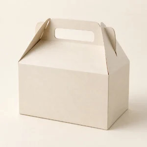 AI concept: ivory gable-shaped carton with a handle opening, catalog view.