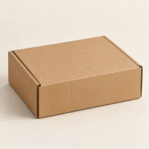 AI concept: brown low-profile mailer carton, catalog view.